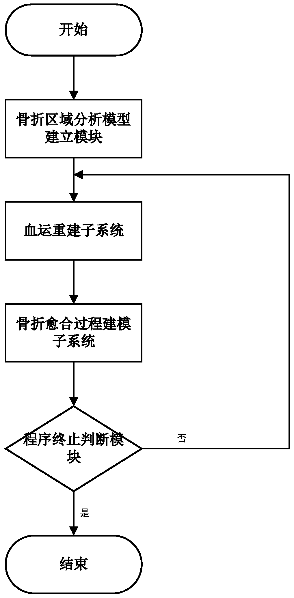 A simulation system for simulating fracture healing process