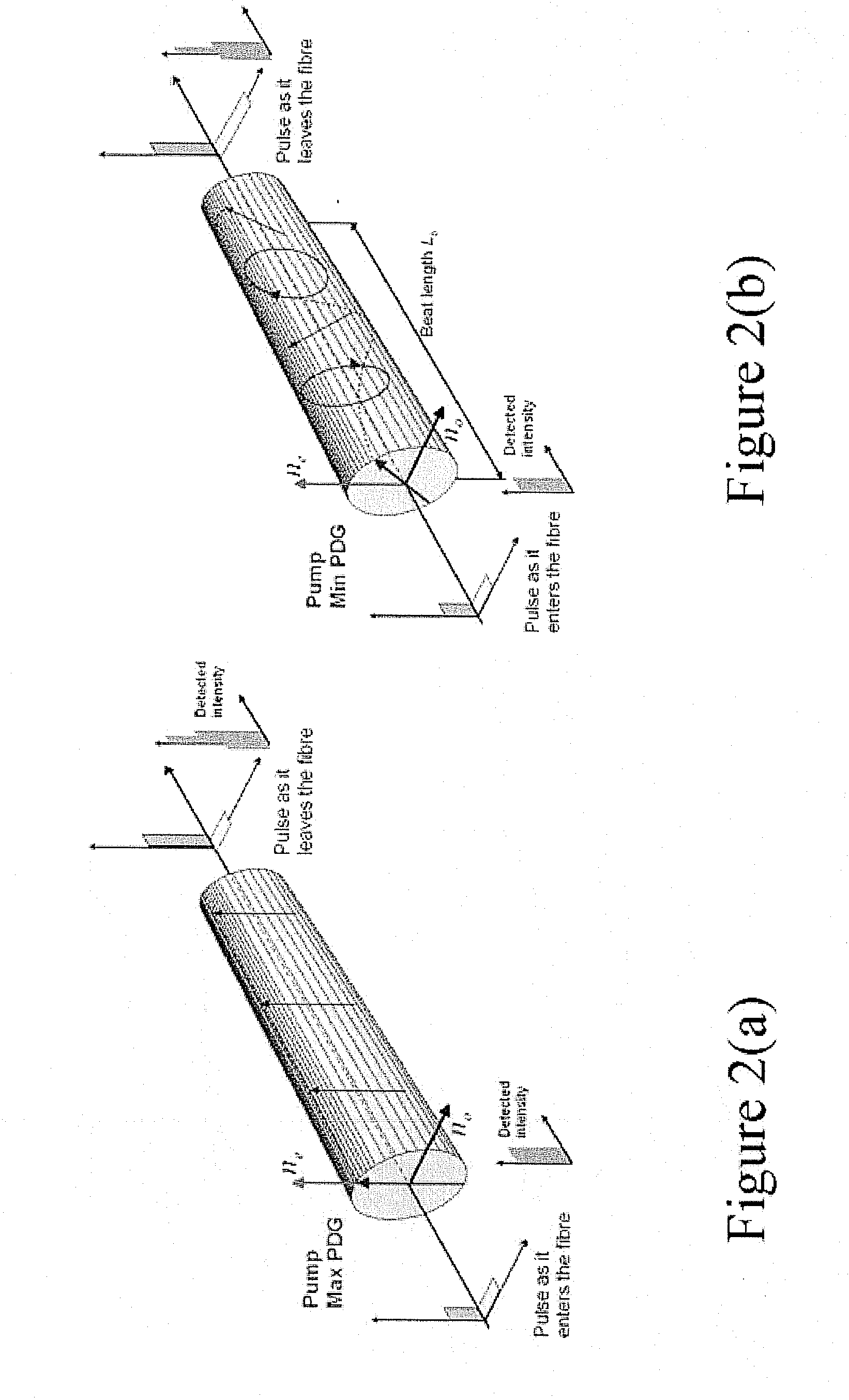 Optical fiber raman amplifier