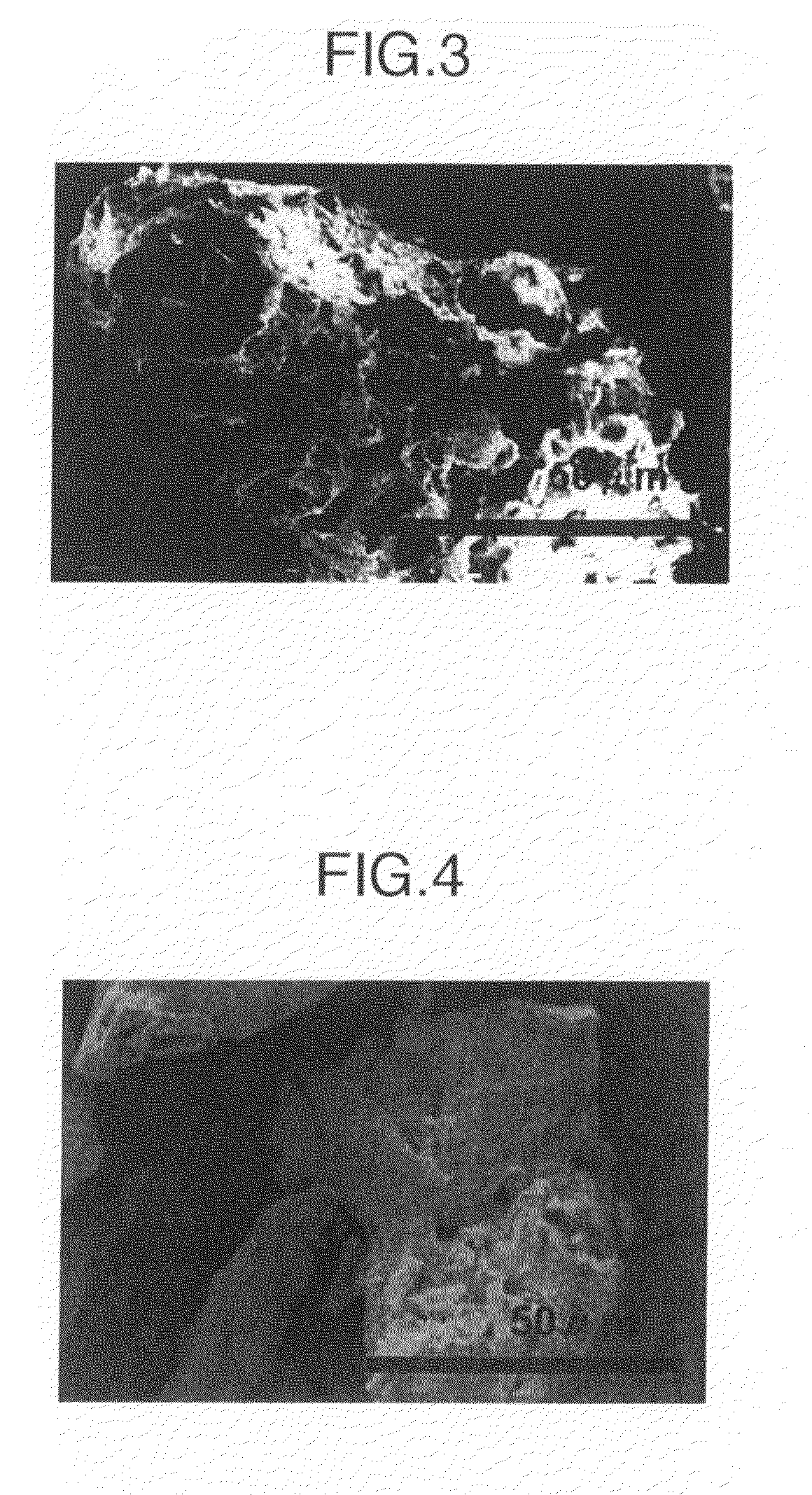 Porous cellulose aggregate and molding composition thereof