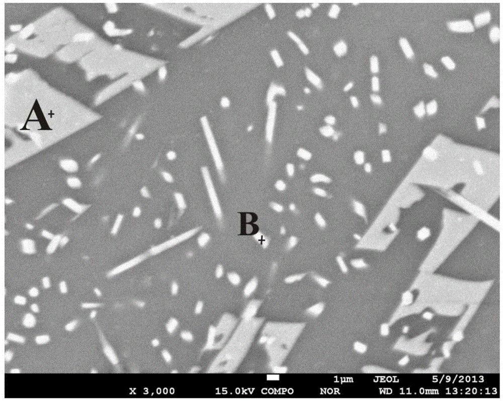 Beige dental glass-ceramic composite of wollastonite and apatite frit