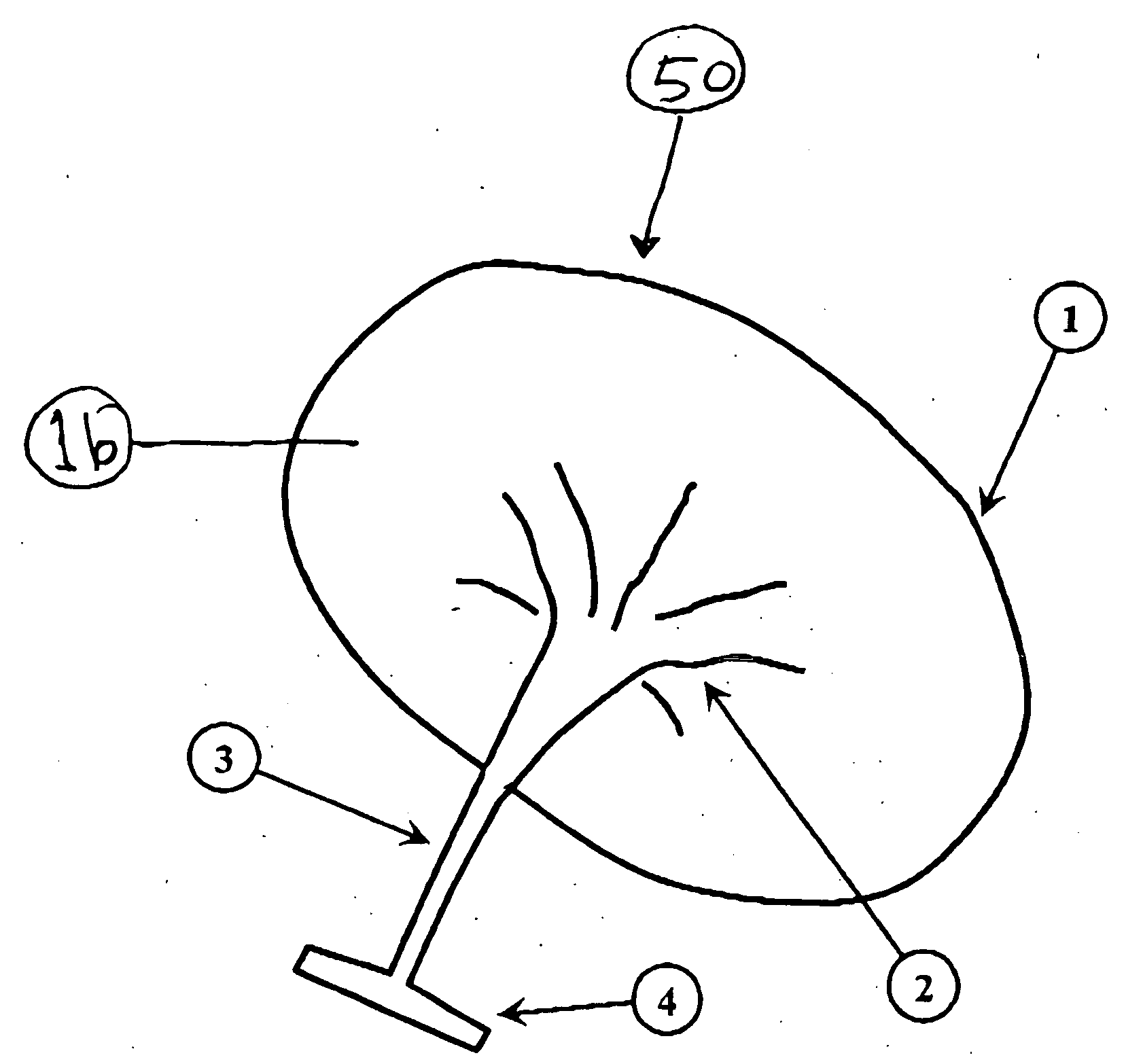 Abdominal muscle exercise apparatus