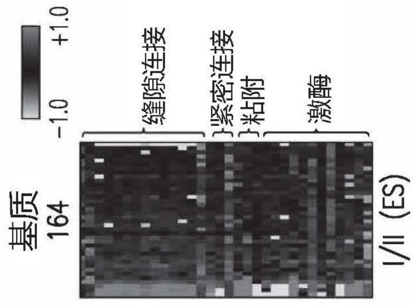 Compositions and methods for treating endometriosis