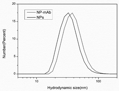 An up-conversion nano-diagnosis and treatment integrated platform probe and preparation method thereof