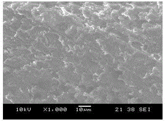Corrosion inhibition treatment method for magnesium alloy in sodium chloride solution