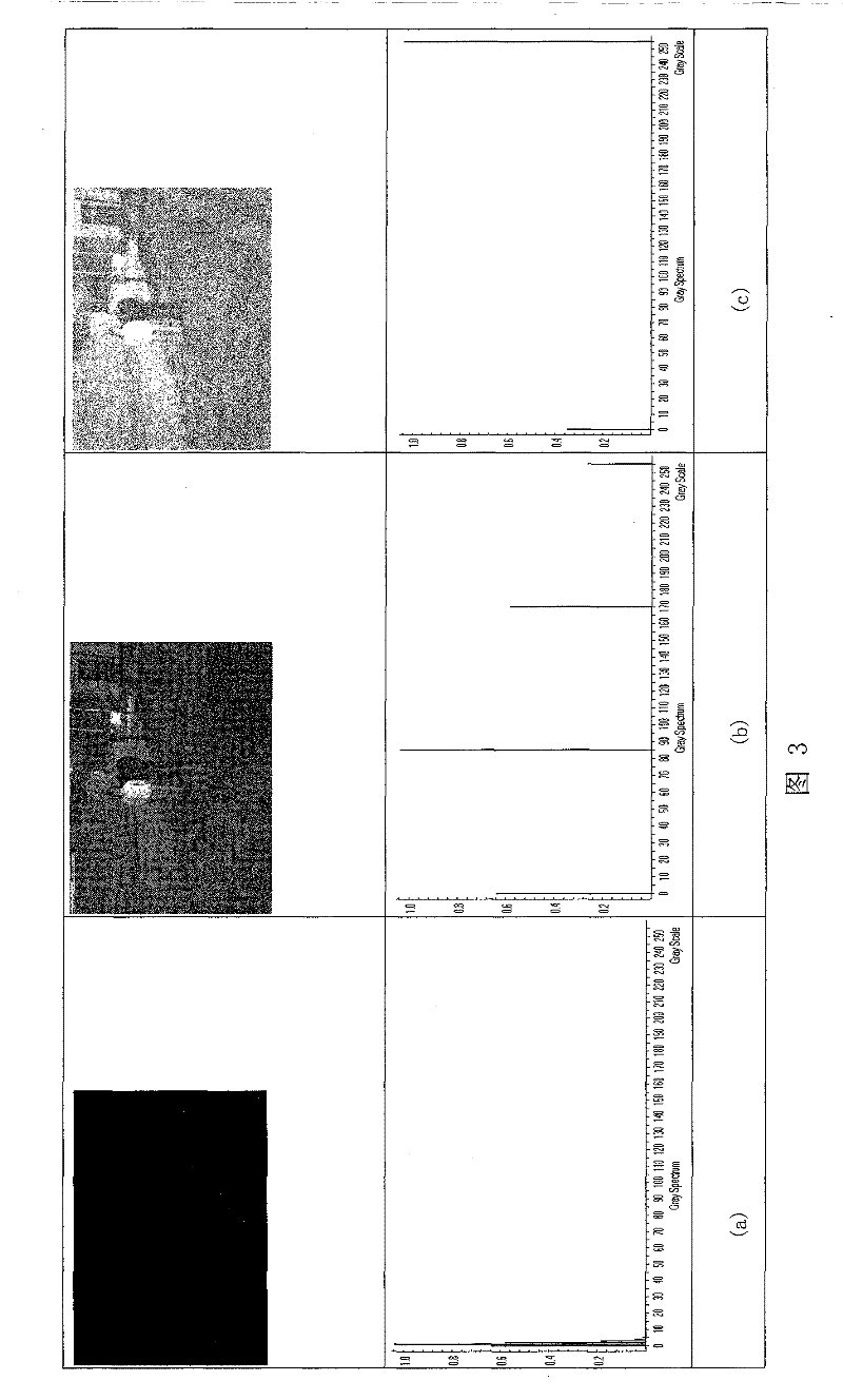 Method for excavating optimum image based on information entropy and logarithm contrast weight sum