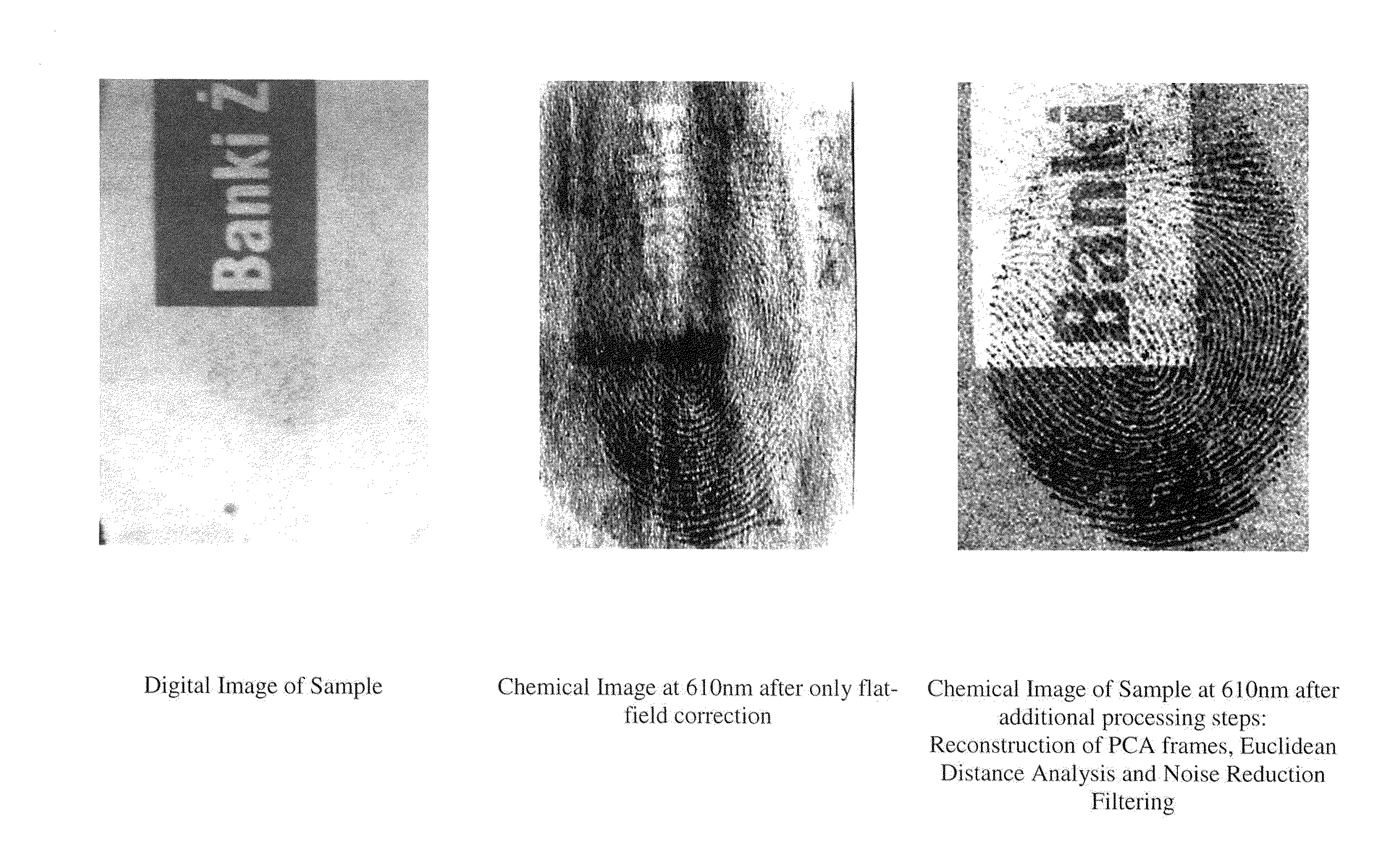 System and Method for Hyperspectral Imaging of Treated Fingerprints