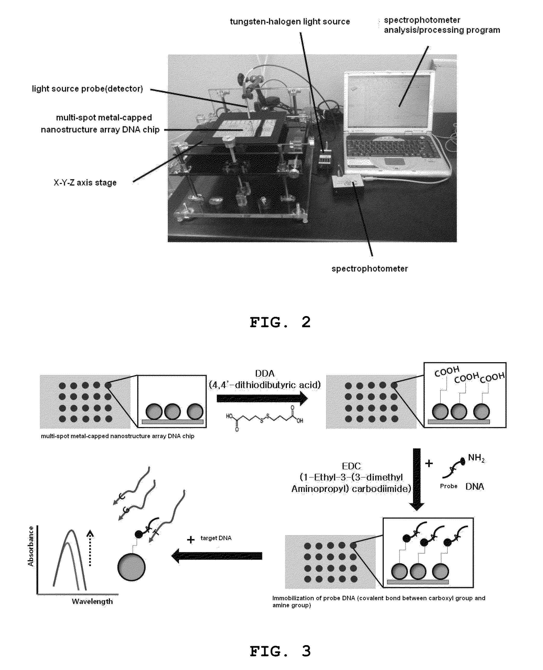 Multi-spot metal-capped nanostructure array nucleic acid chip for diagnosis of corneal dystrophy and preparation method thereof