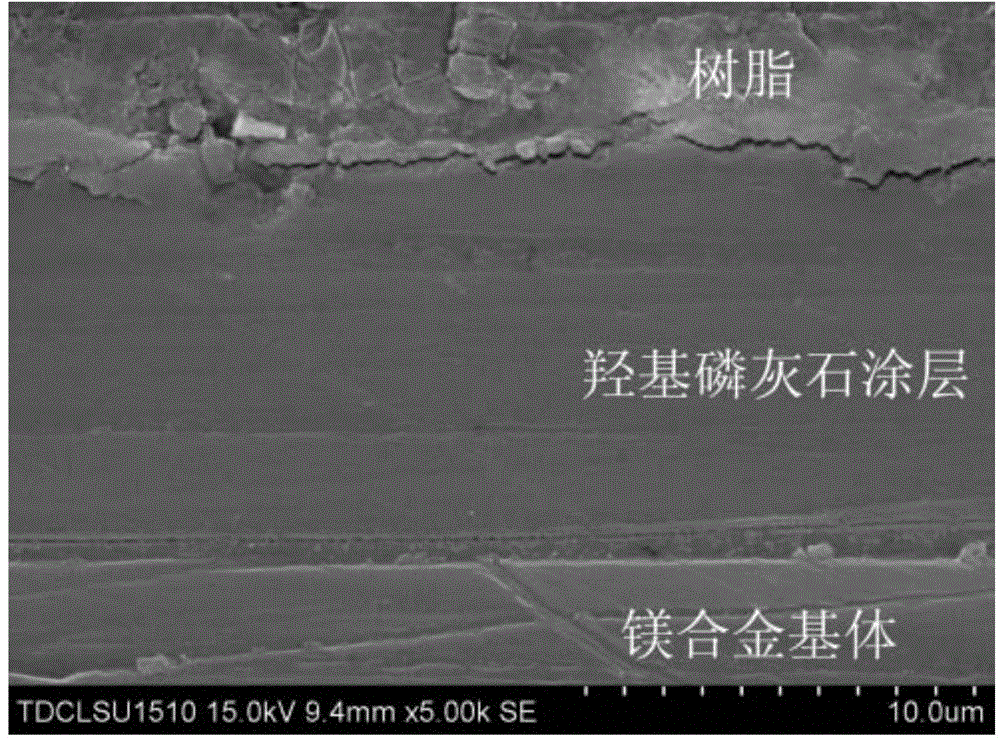 Microwave preparation method of flower-shaped hydroxyapatite coating layer on surface of magnesium alloy