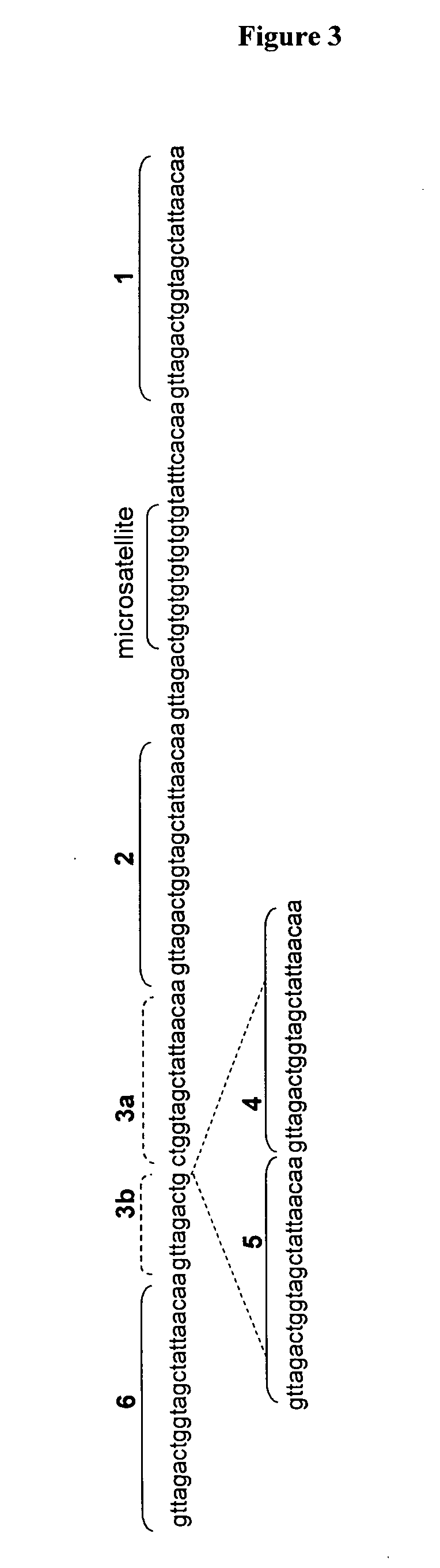 Chimeric Compositions and Methods for Regulating Plant Gene Expresssion