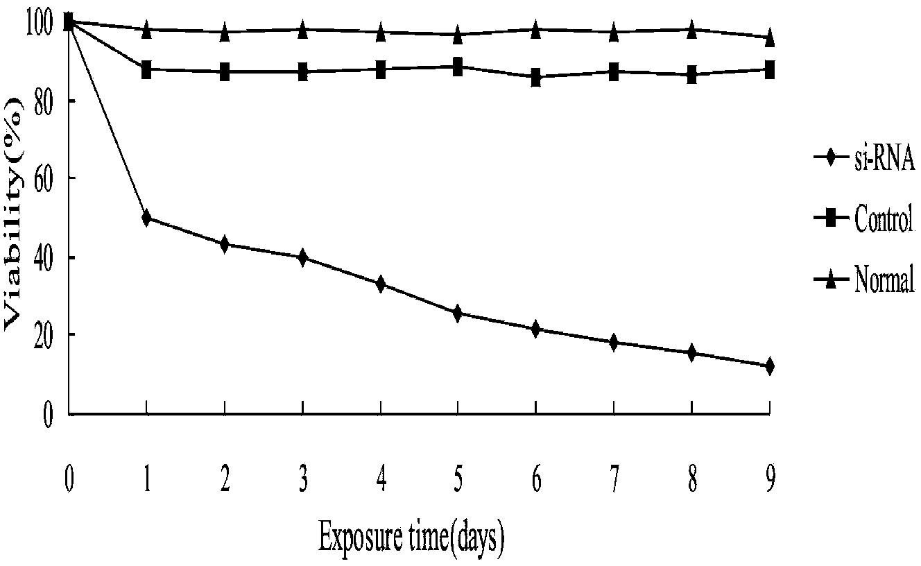 Interfering RNA for inhibiting and treating echinococcus granulosus disease and application thereof