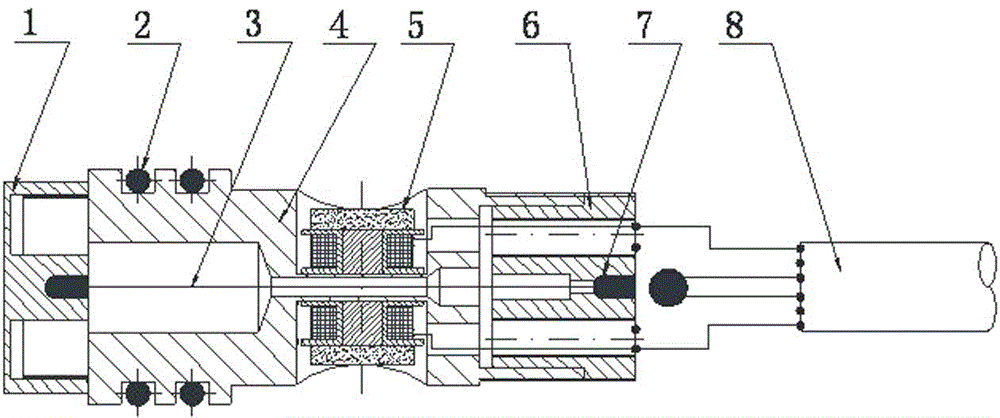 Vibrating wire piezometer encapsulating method