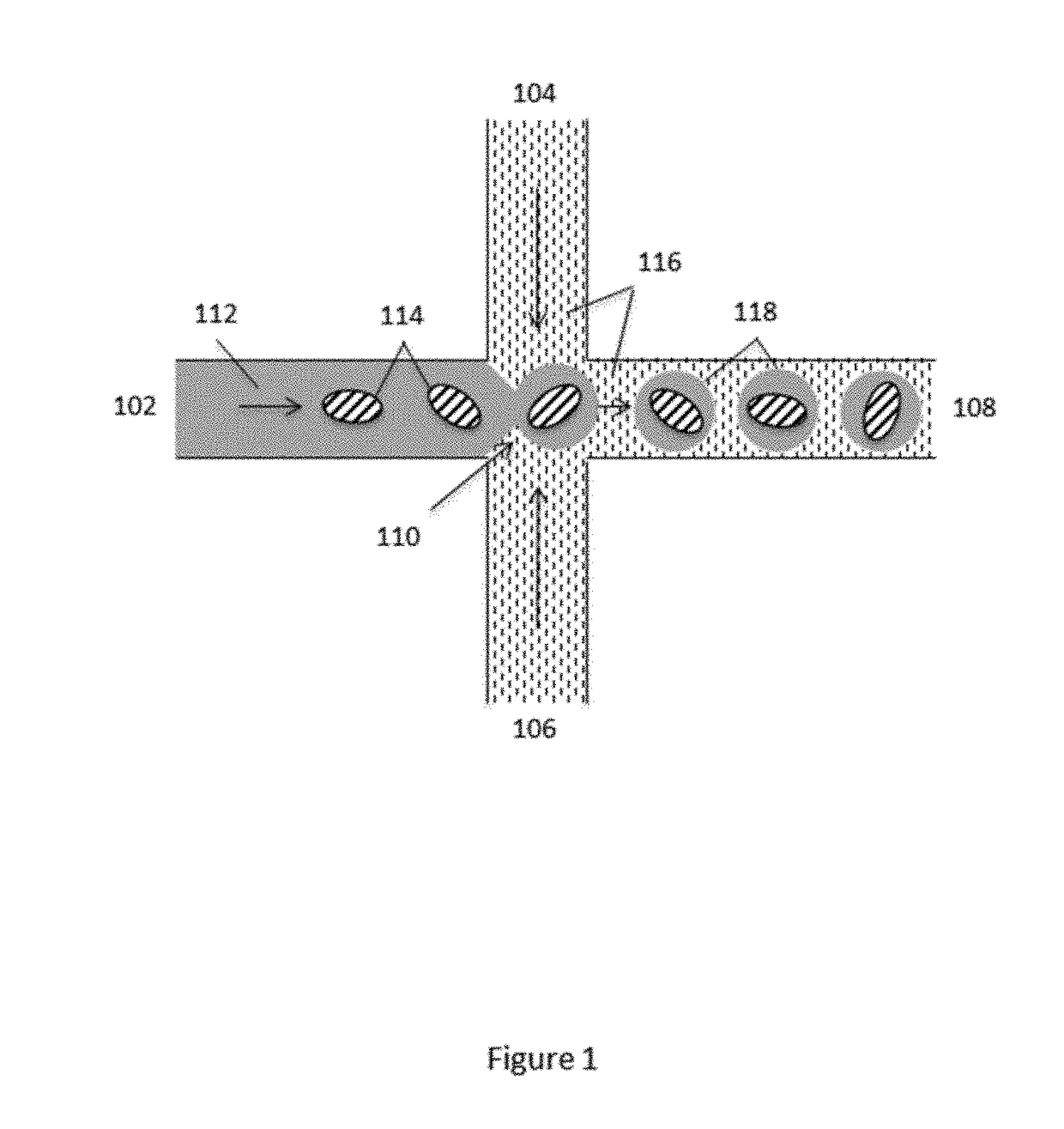 Methods and systems for processing polynucleotides