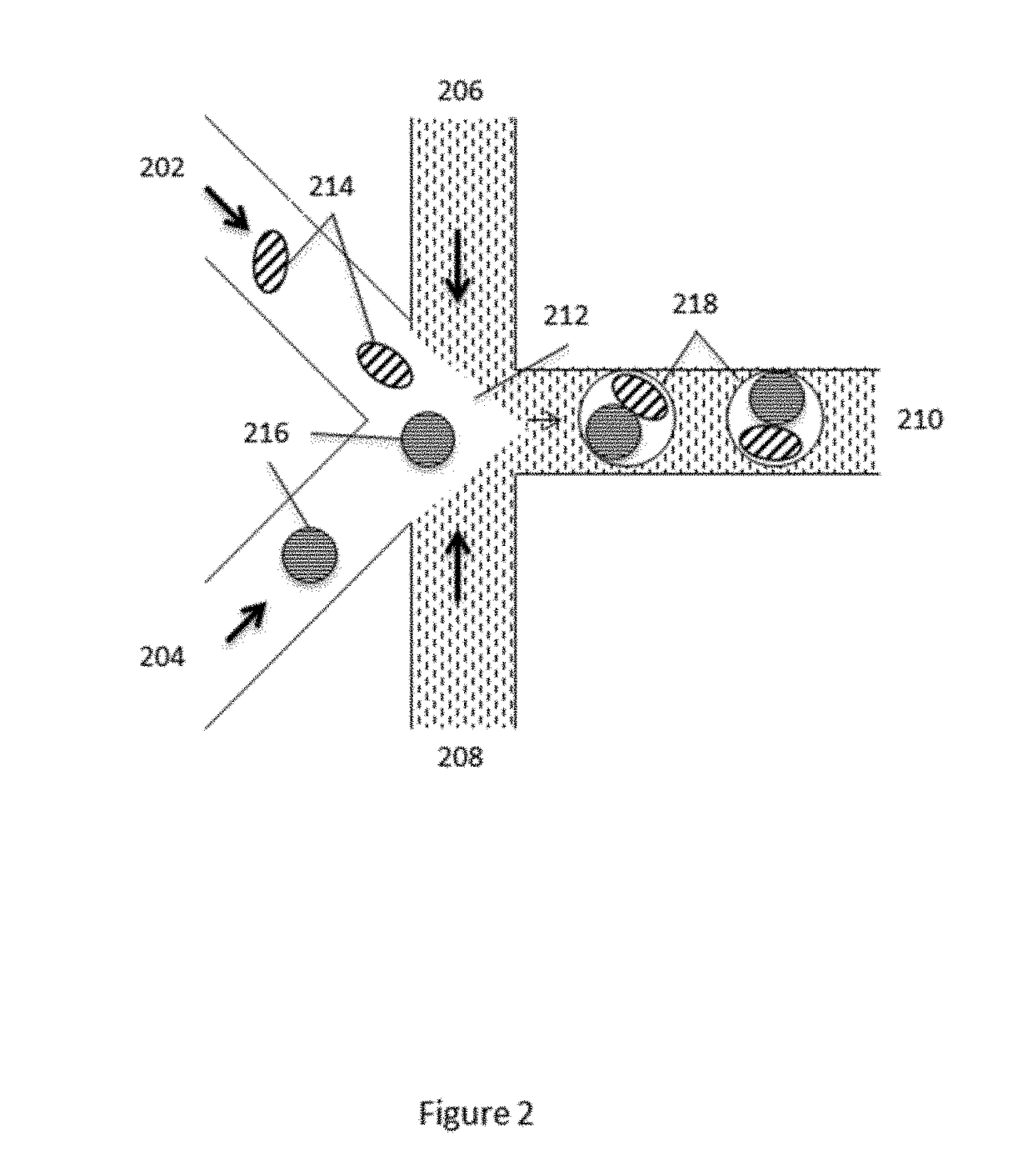 Methods and systems for processing polynucleotides