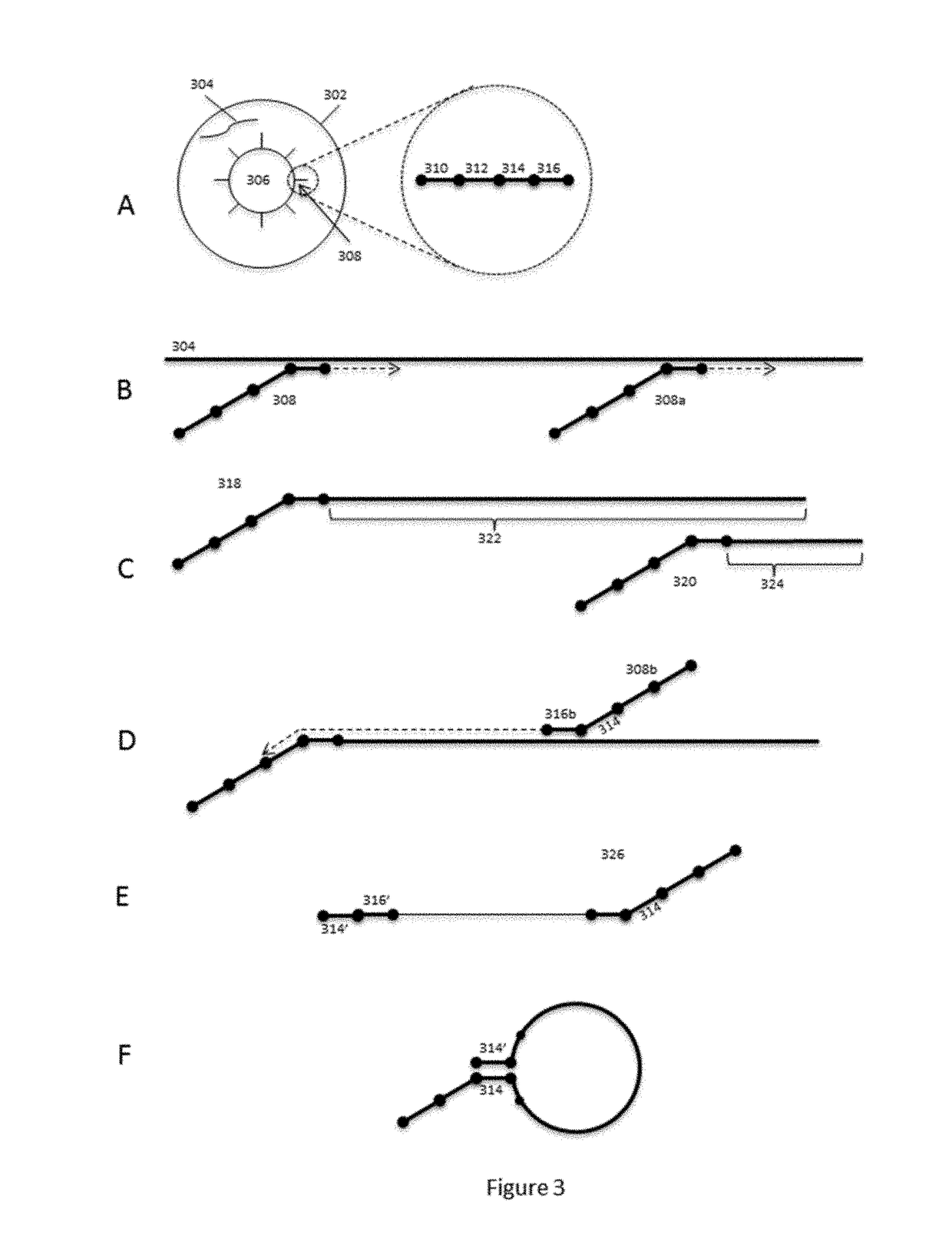 Methods and systems for processing polynucleotides