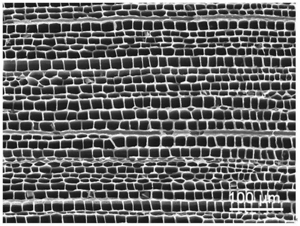 Electrode material based on multi-walled carbon nanotube-carbonized wood mixed support, preparation method thereof and supercapacitor