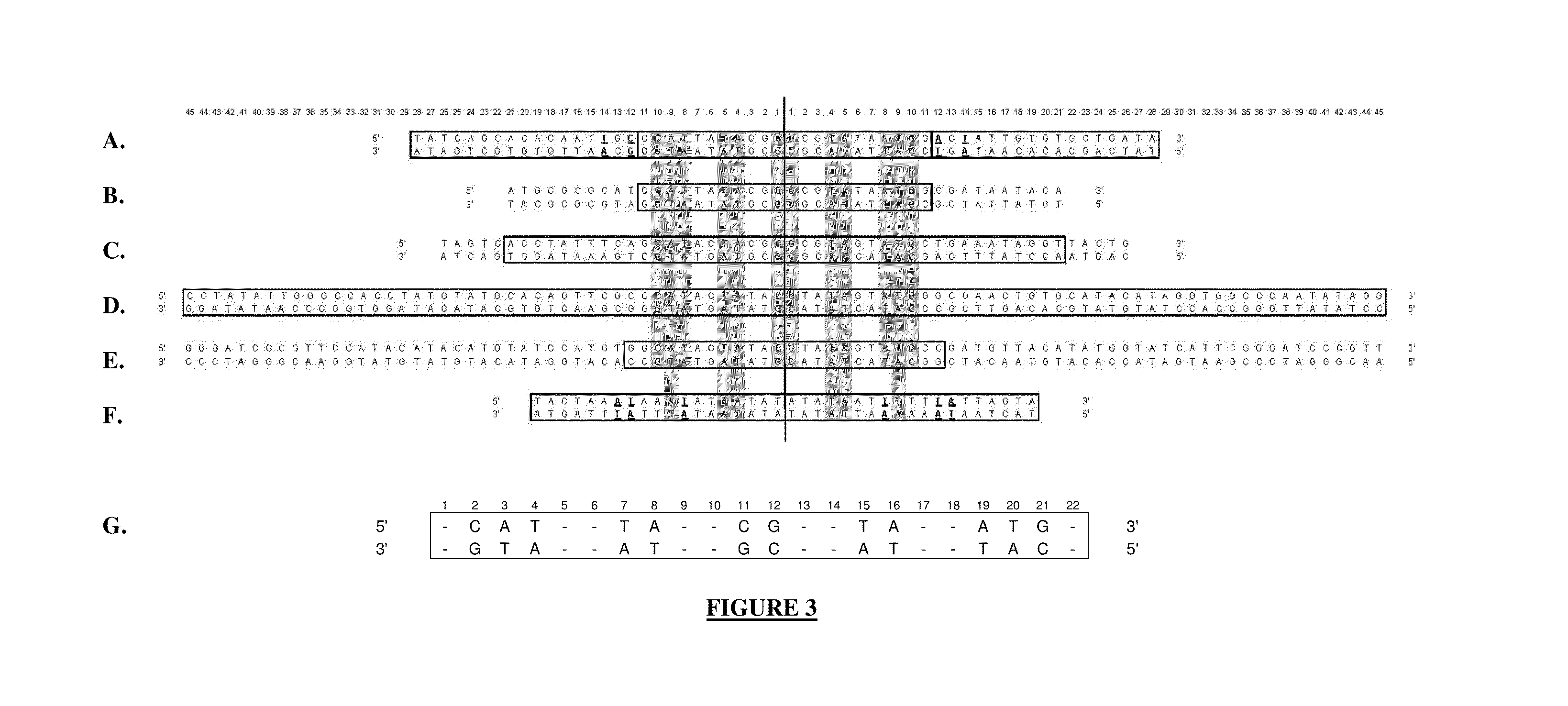 Production of closed linear DNA using a palindromic sequence