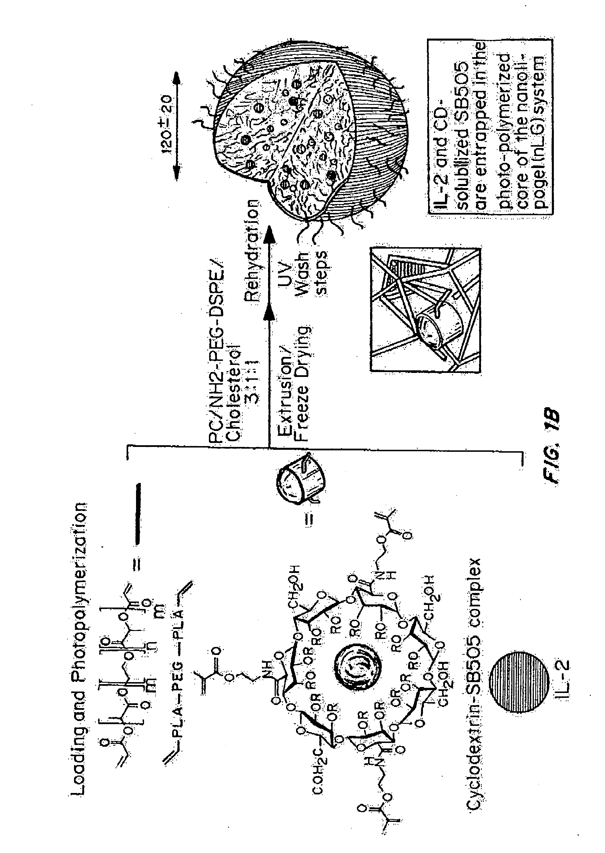 Methods of Treating Inflammatory and Autoimmune Diseases and Disorders
