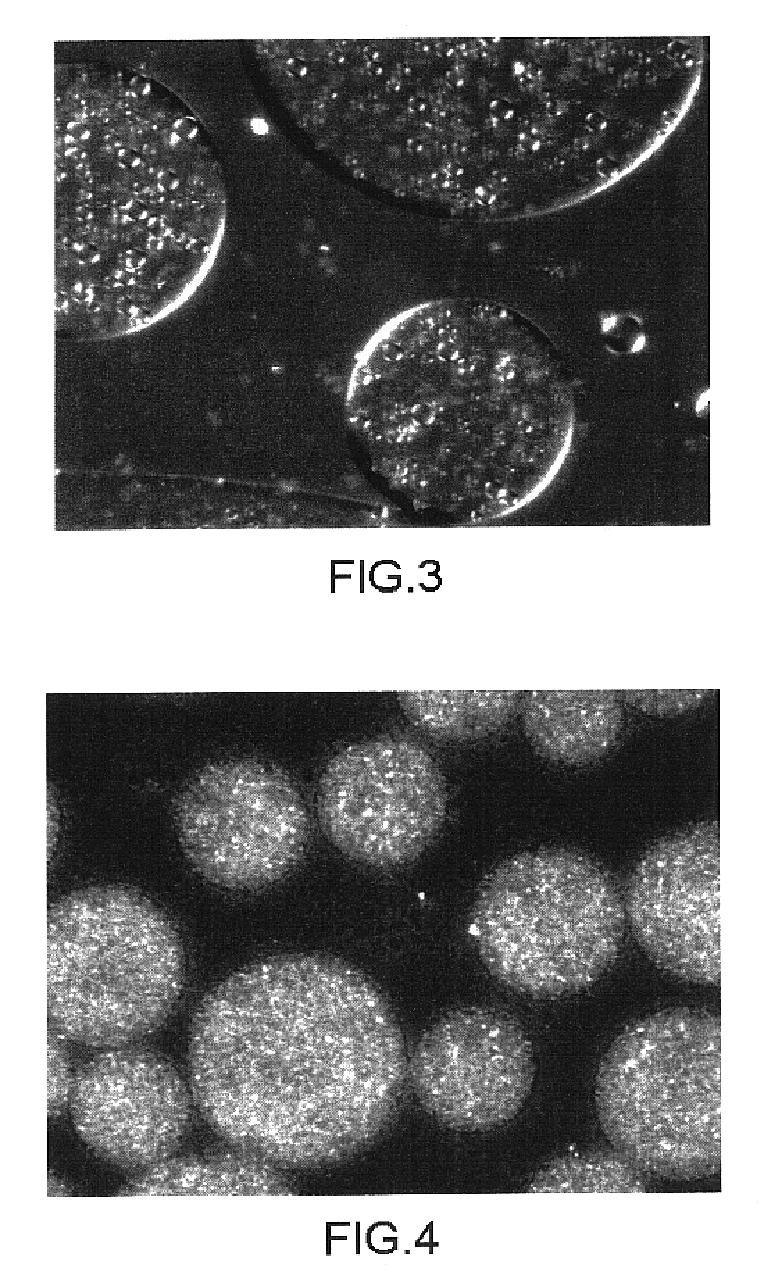 Media in the form of complex dispersions, method for preparing same and uses