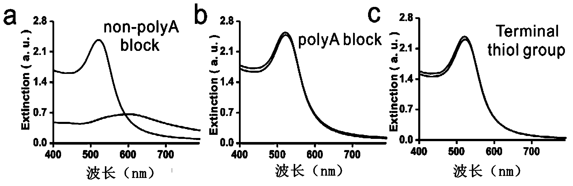 Nanometer gold complex as well as preparation and application thereof