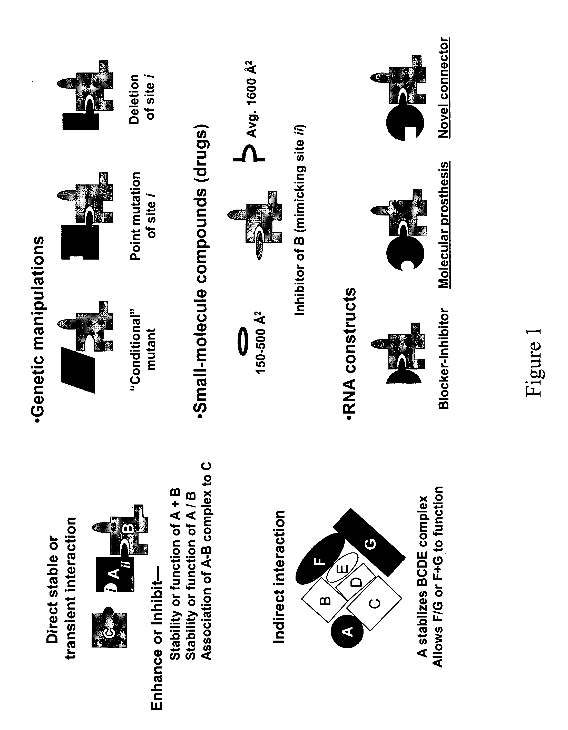 Modular design and construction of nucleic acid molecules, aptamer-derived nucleic acid constructs, RNA scaffolds, their expression, and methods of use