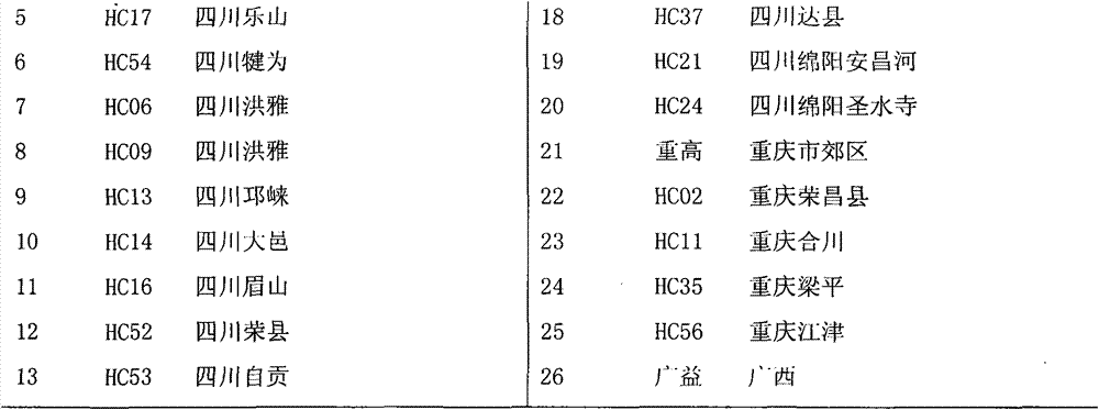 Establishment method and application of isap fingerprint of Verbena flat tachycarpa