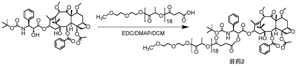 Cabazitaxel-oligo/polylactic acid conjugated prodrug, preparation, preparation method and application thereof