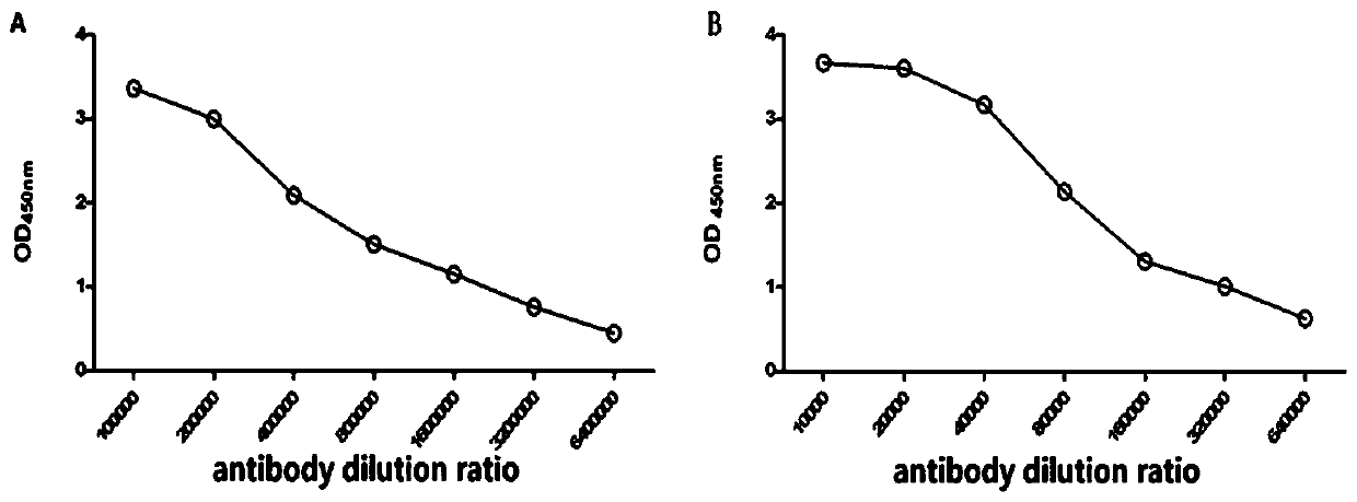 Hybrid tumor cell strain 7D2 of human cardiac troponin I as well as monoclonal antibody and application thereof