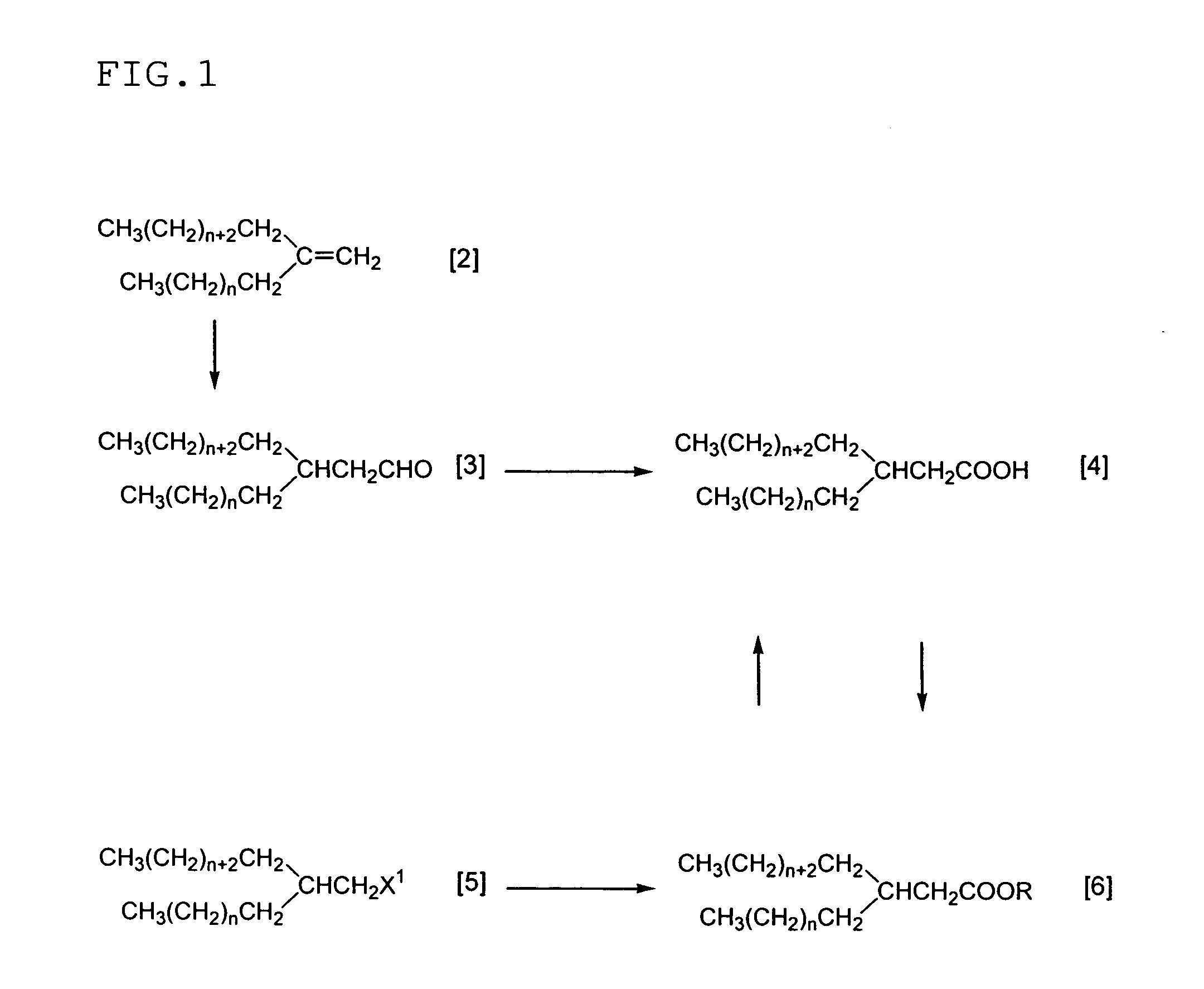 Carbonyl Compound Containing Long-Chain Branched Alkyl Group