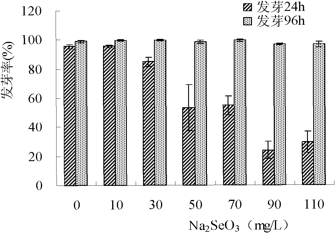 Method for cultivating selenium-rich bean sprouts