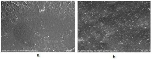 A kind of graphene/rubber composite material preparation method