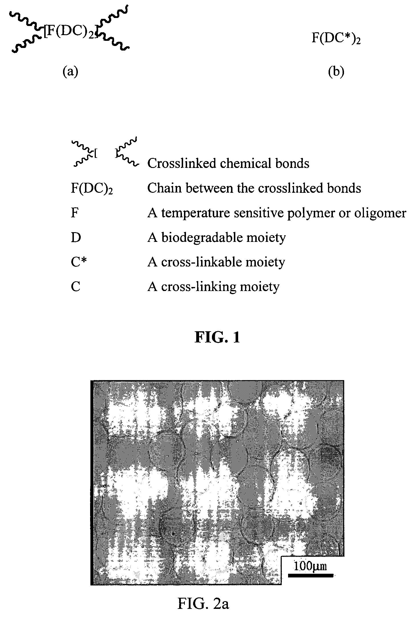 Thermosensitive and biodegradable microgel and a method for the preparation thereof