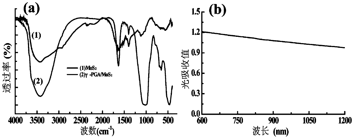 A polyamino acid/mos  <sub>2</sub> Preparation methods and applications of nanoclusters