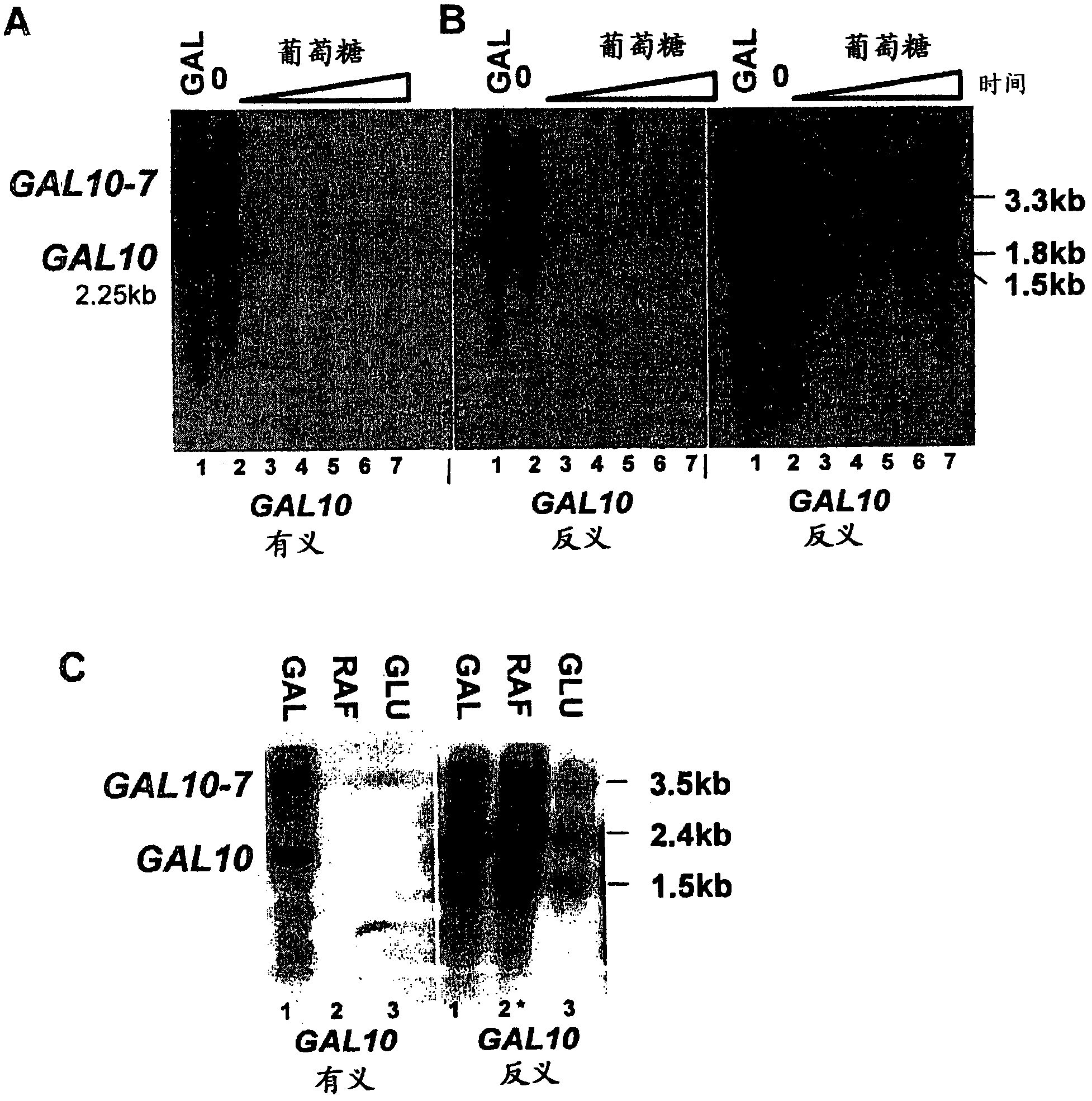 Methods of detecting long range chromosomal interactions