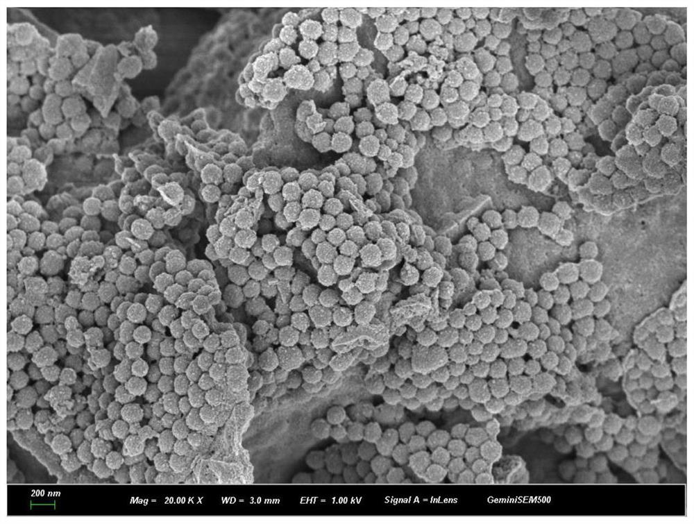 A 3D printing drug-loaded bone defect filler scaffold and its preparation method and application