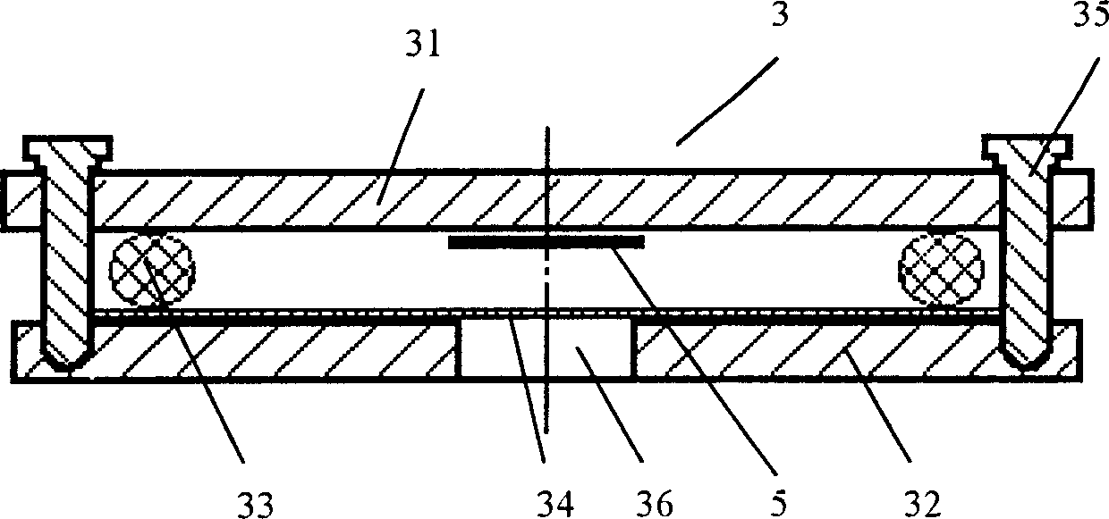 Method and device for identifying pathogenic influence of concurrent bacteria infection against poultry influenza virus infection