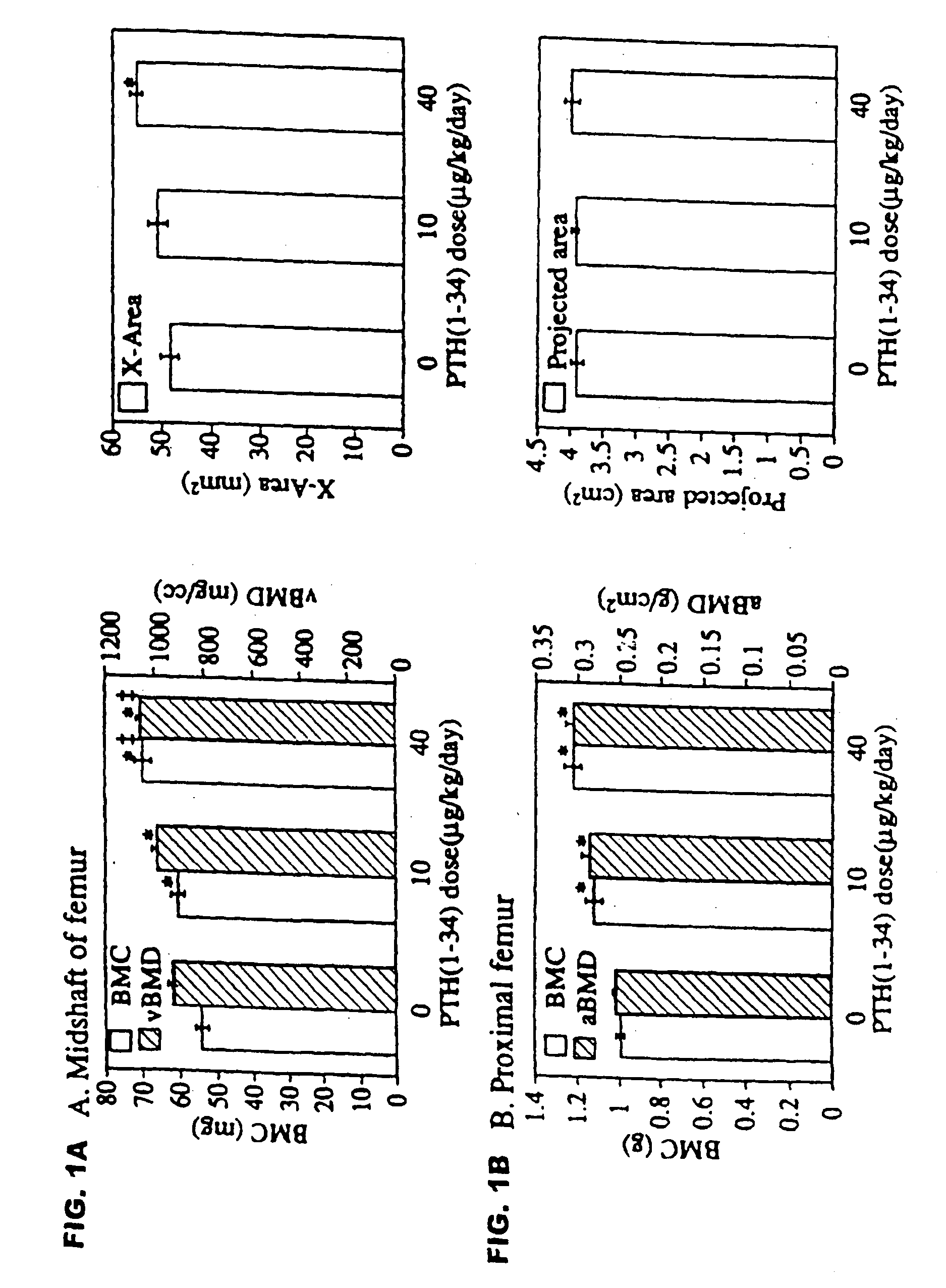 Method of increasing bone toughness and stiffness and reducing fractures