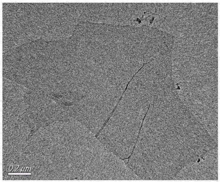 Preparation method of bamboo nanocellulose/reduced graphene oxide composite carbon aerogel and application of preparation method