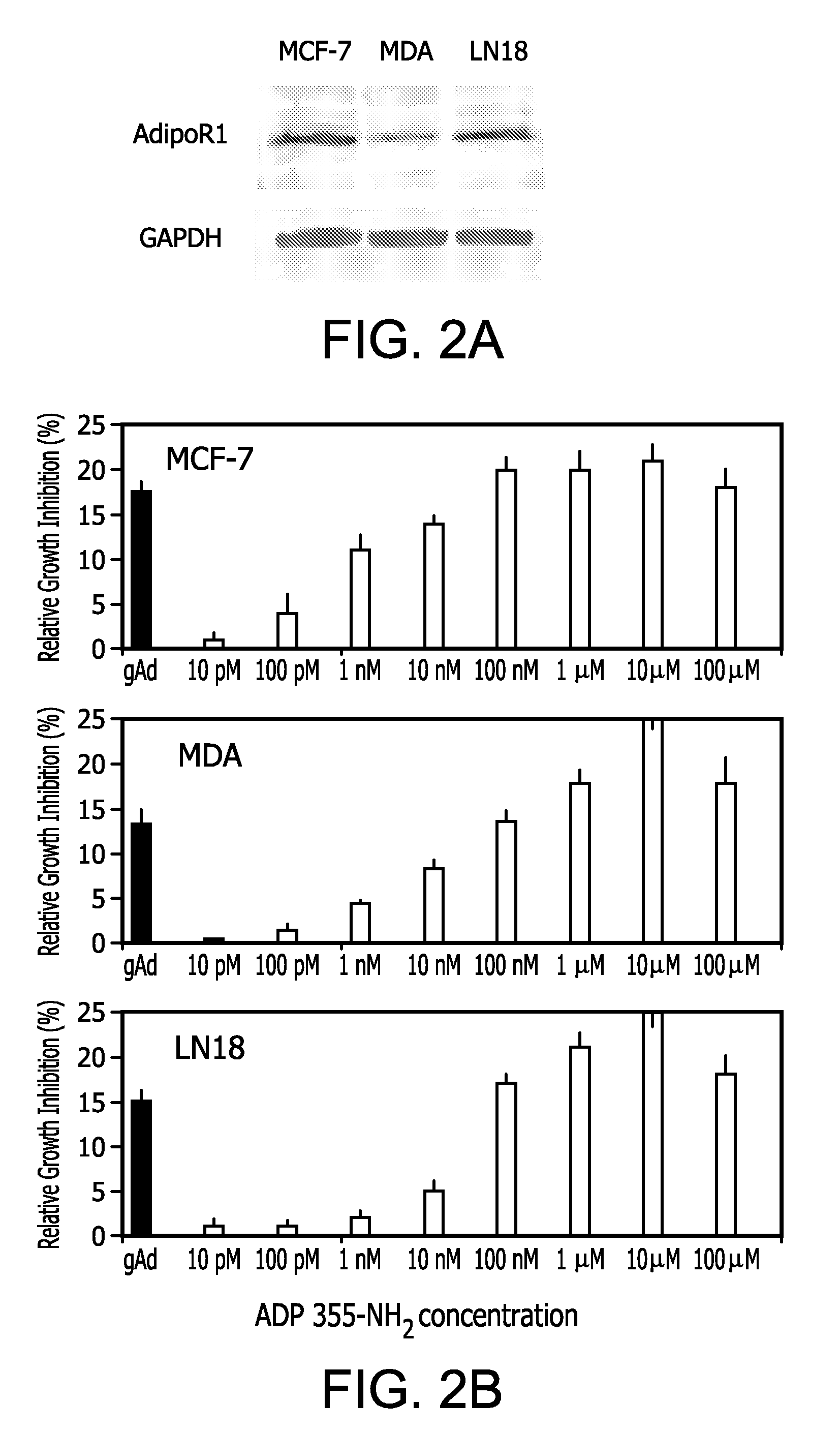 Adiponectin receptor agonists and methods of use