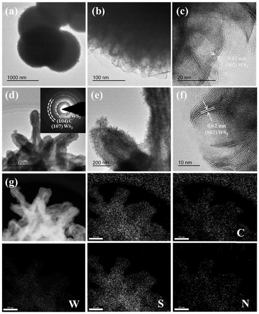 Three-dimensional hollow WS2/C composite electrode material and preparation method and application thereof