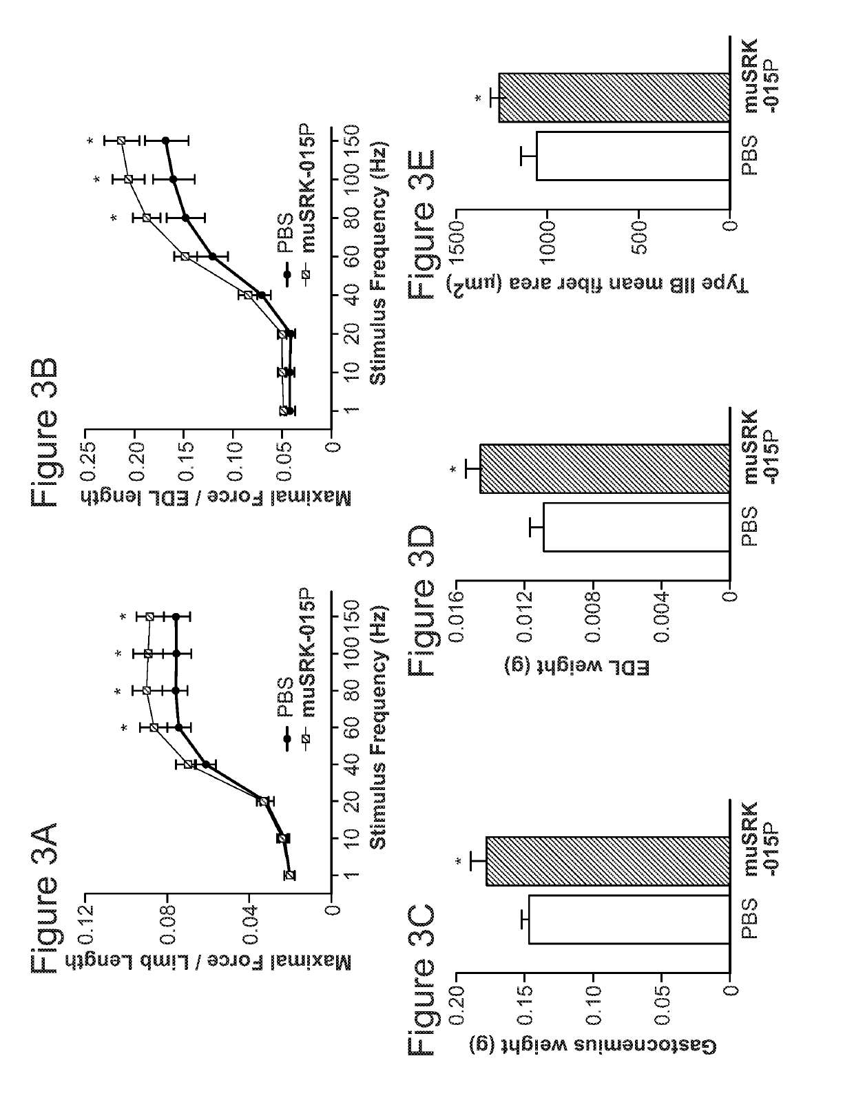 Use of myostatin inhibitors and combination therapies