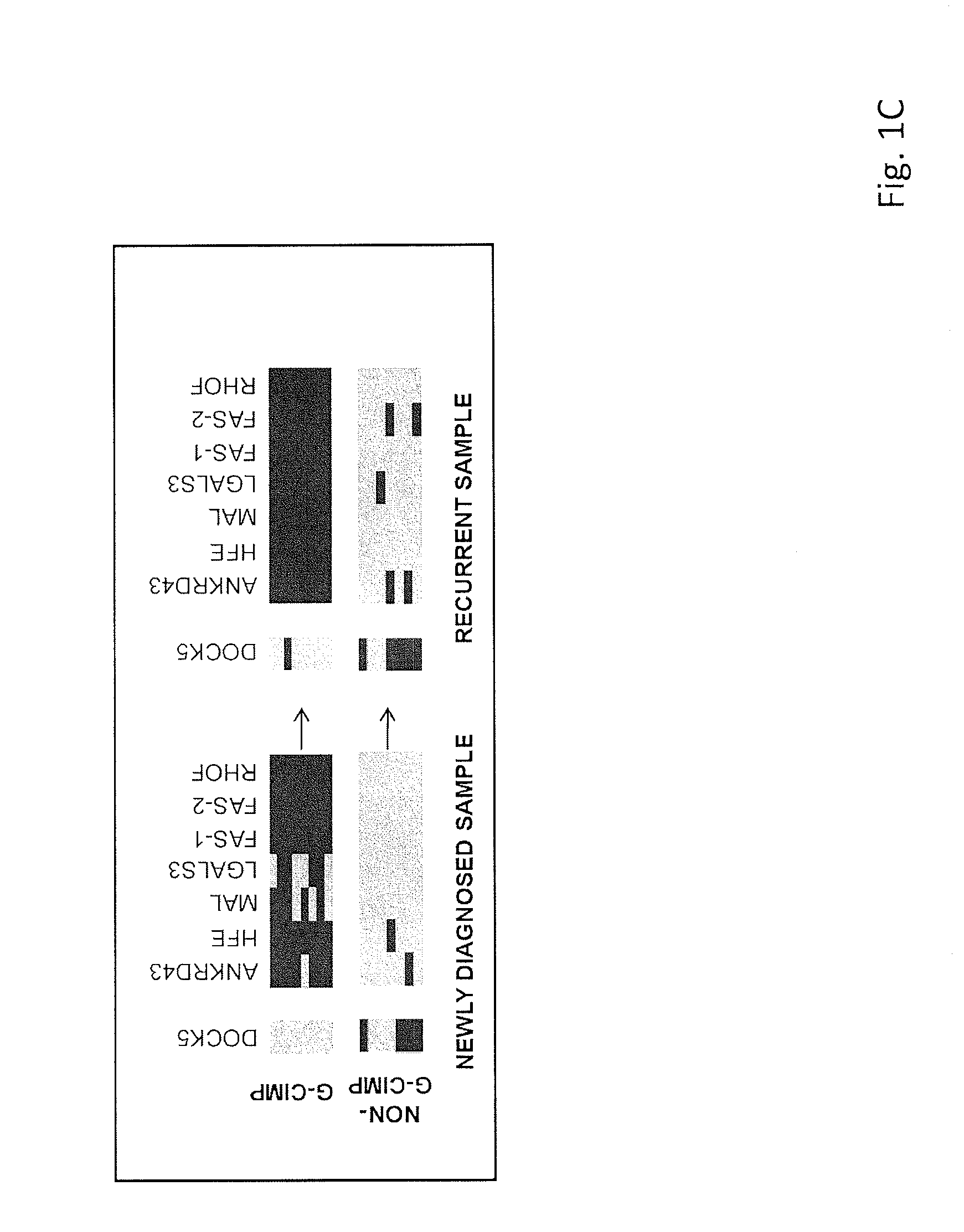 Methods and compositions related to a multi-methylation assay to predict patient outcome