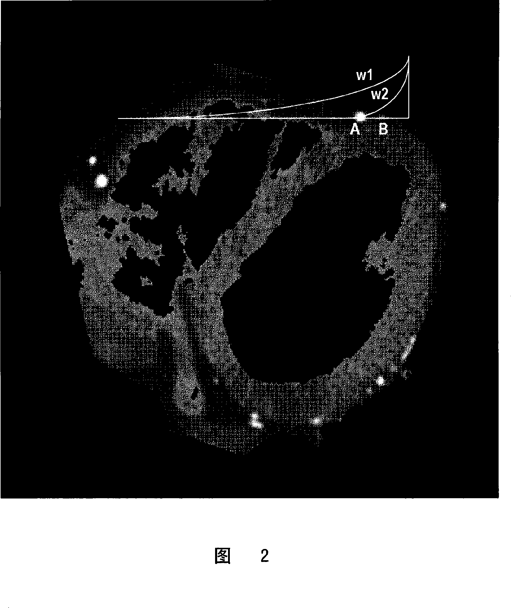 Maximum intensity projection performing method and apparatus