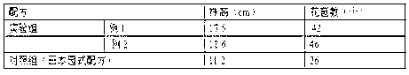 Cultivation method for promoting bud germination of calceolaria herbeohybrida