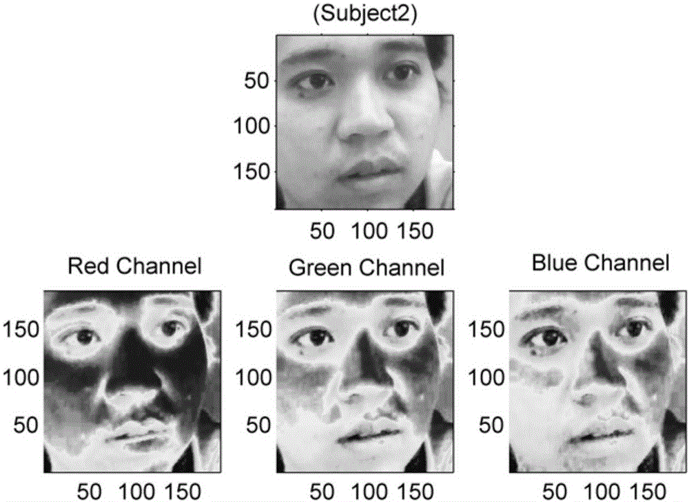Human face video image based heart rate detection system and detection method