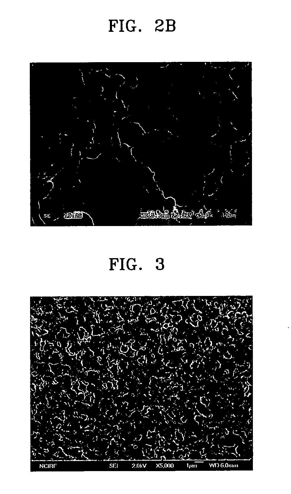 Ion conductive composite membrane using inorganic conductor and method of manufacturing the same