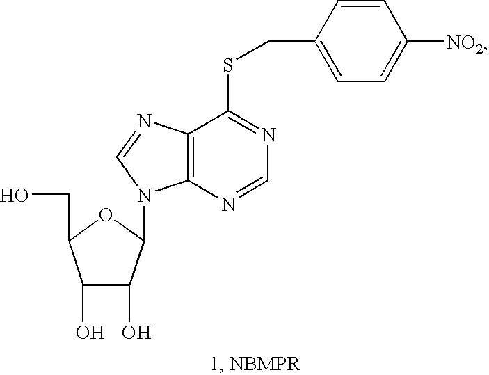 Nucleoside transport inhibitors
