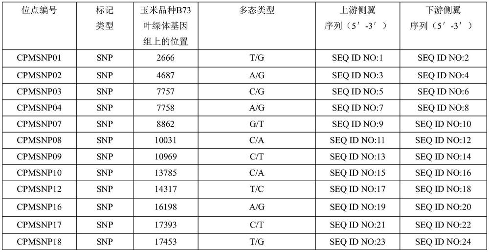 Molecular Markers of Maize Chloroplast Genome and Its Application in Variety Identification