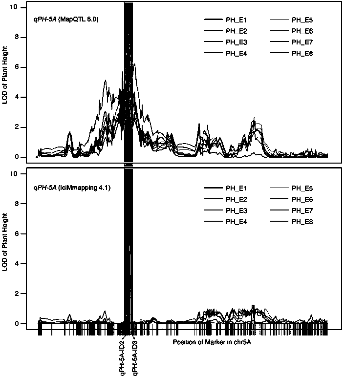 Molecular markers closely linked with major QTL of wheat plant height and application of molecular markers