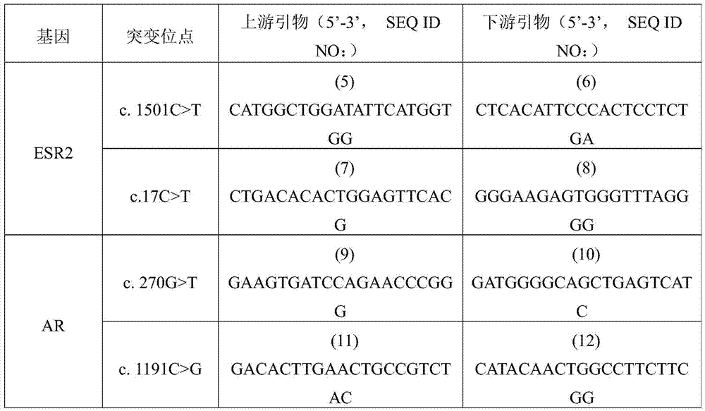 Gene mutant and application thereof