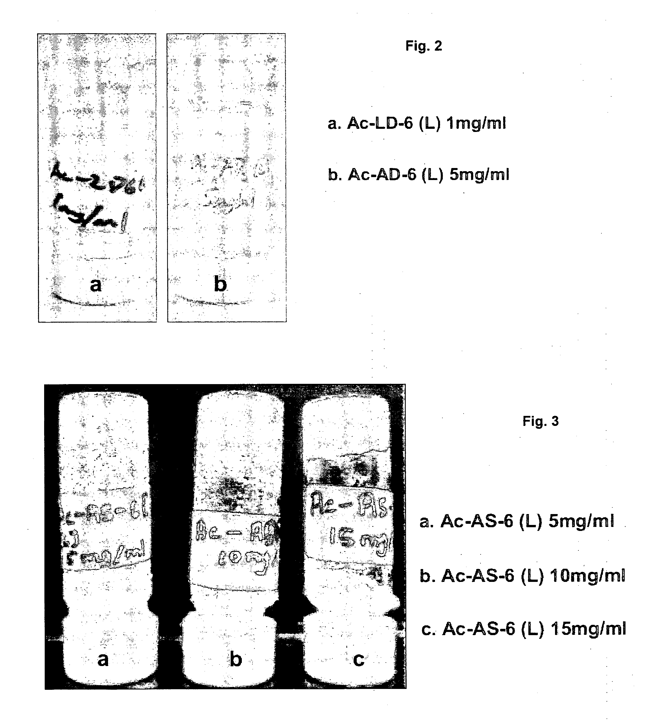 Amphiphilic linear peptide/peptoid and hydrogel comprising the same